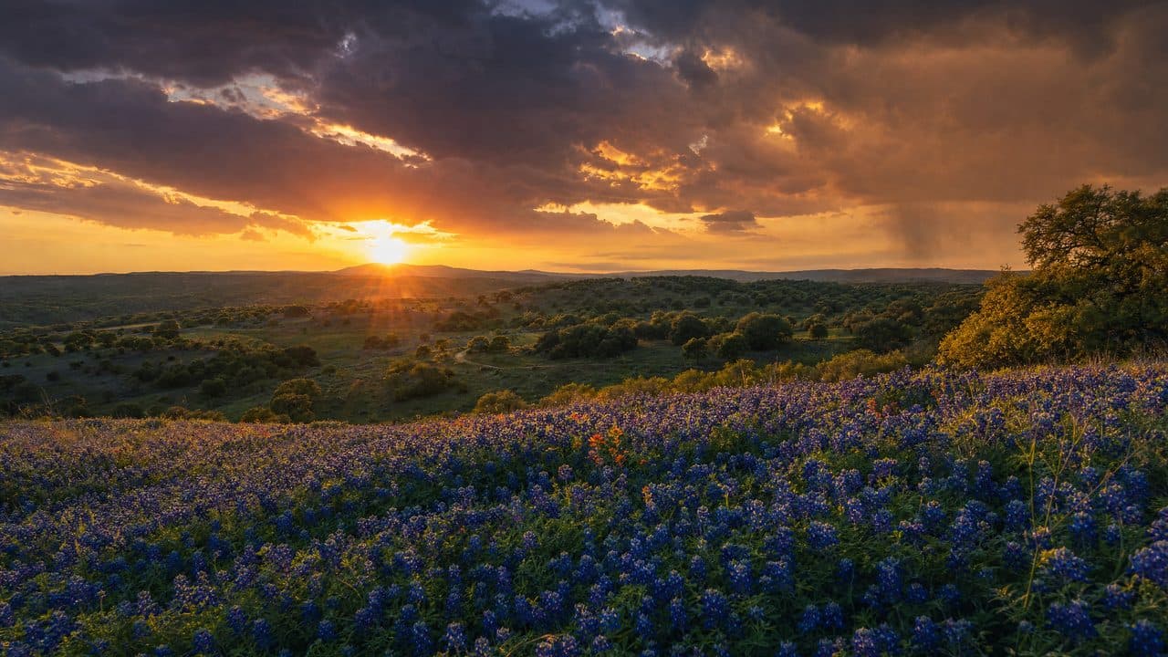 Texas