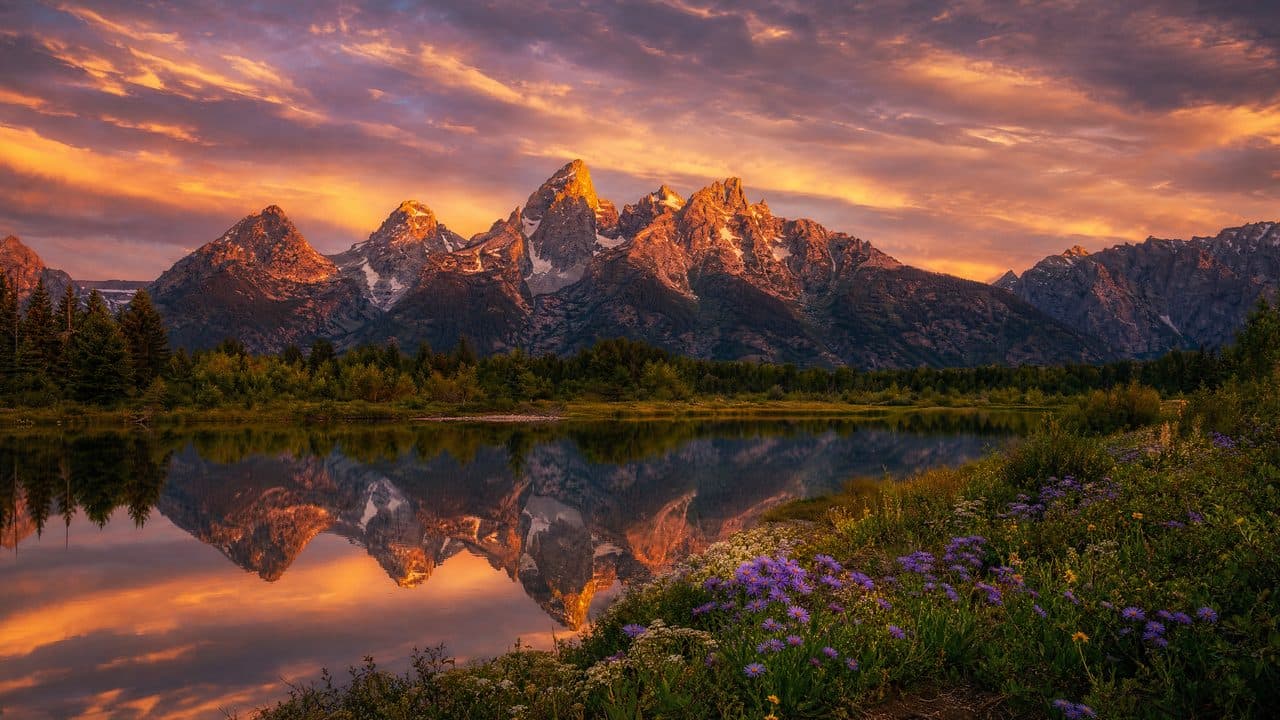 THE BEST US STATES FOR YOUR ZEROTAX LLC